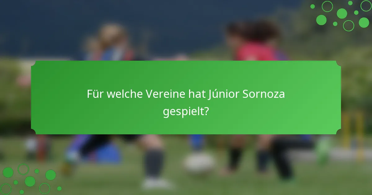 Für welche Vereine hat Júnior Sornoza gespielt?