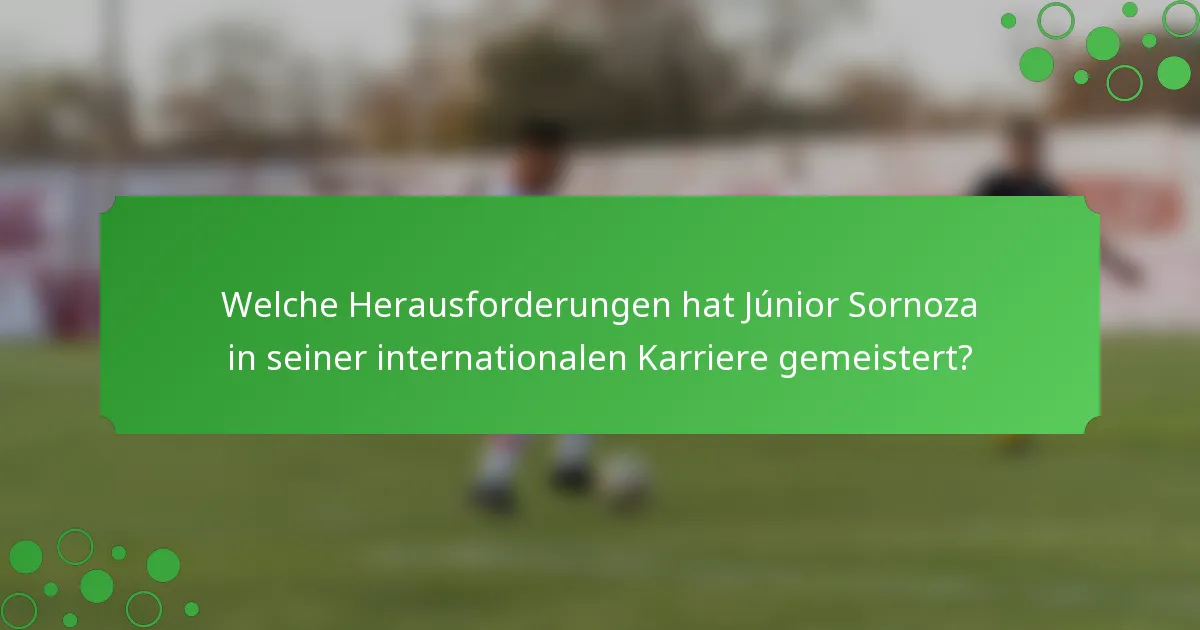 Welche Herausforderungen hat Júnior Sornoza in seiner internationalen Karriere gemeistert?
